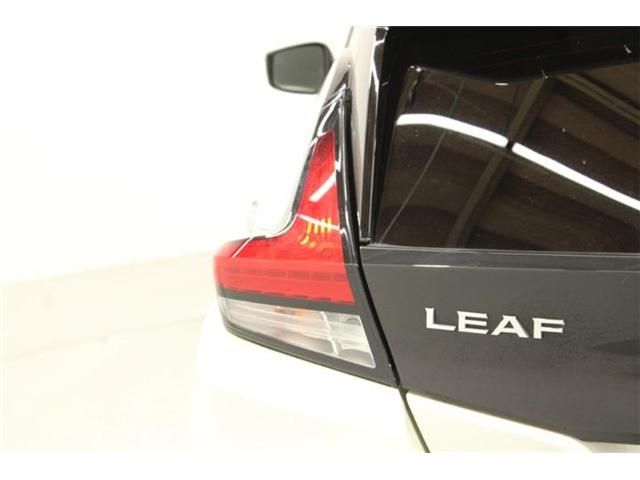 LEAF
