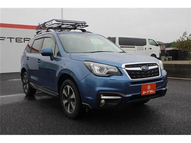FORESTER