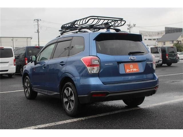 FORESTER