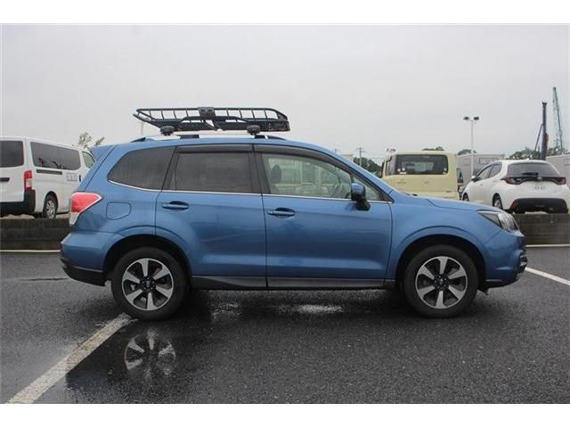 FORESTER