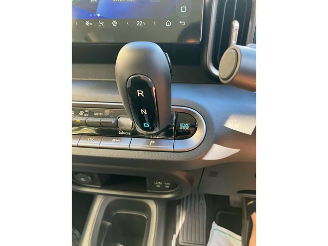 BYD RACCO