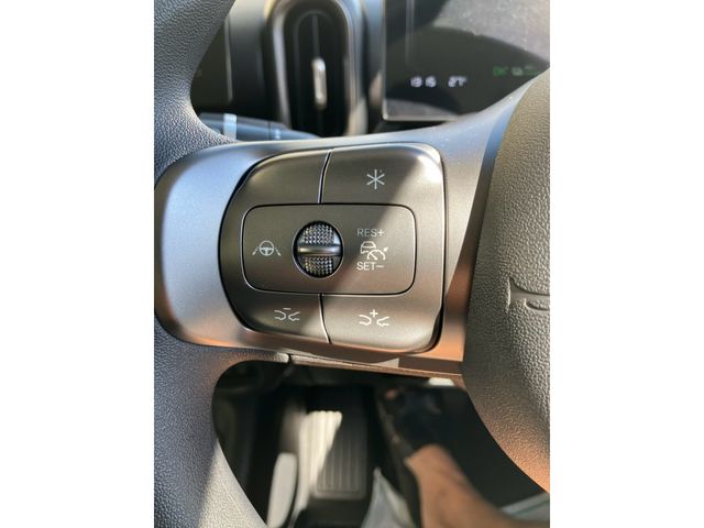 BYD RACCO