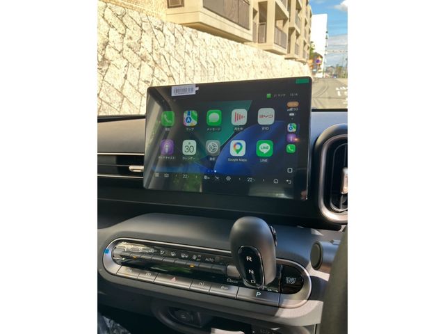 BYD RACCO