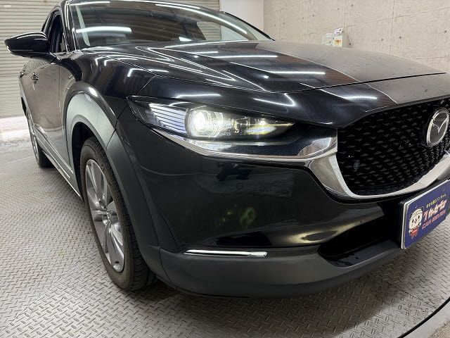 CX-30
