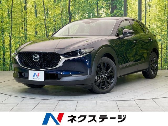 CX-30