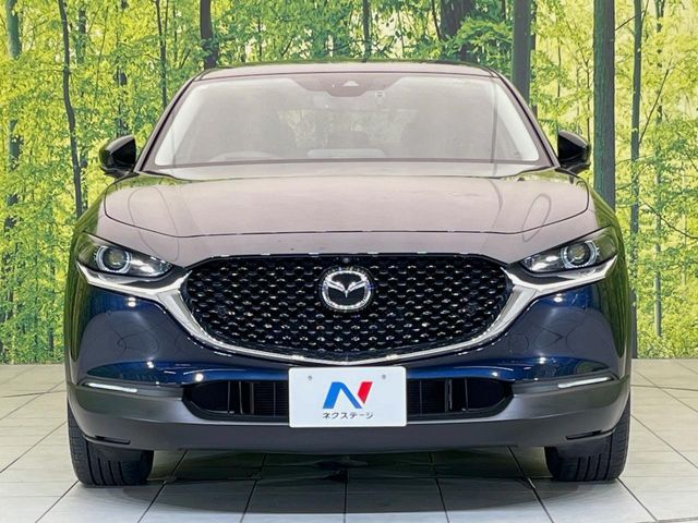 CX-30