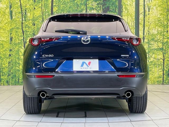 CX-30