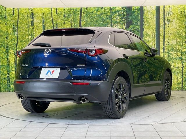 CX-30