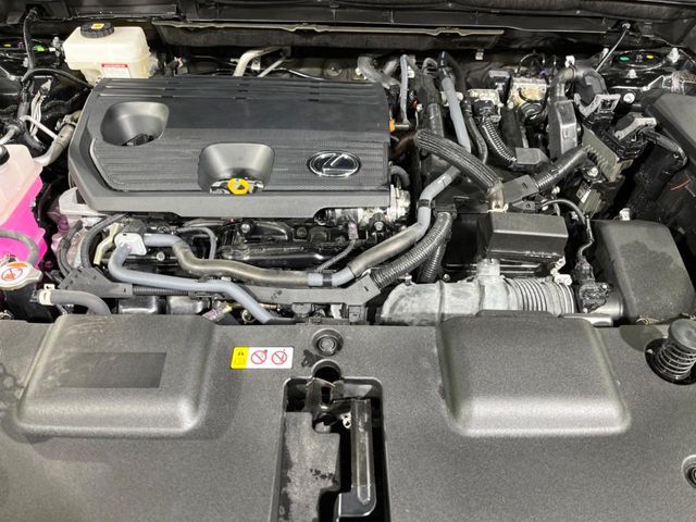 LEXUS NX350h