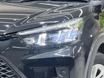RAIZE HYBRID
