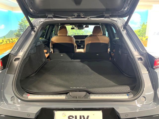 CROWN SPORT