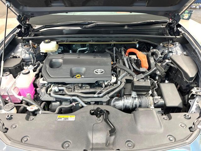 CROWN SPORT