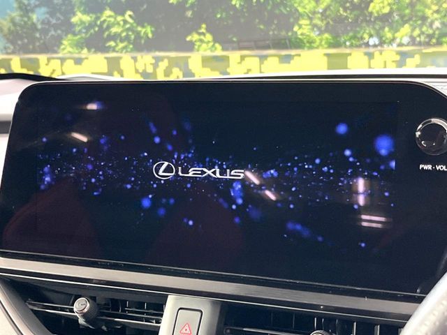 LEXUS UX300h