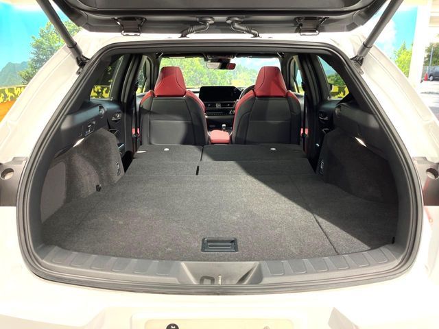 LEXUS UX300h