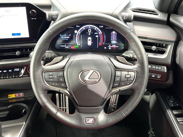 LEXUS UX300h