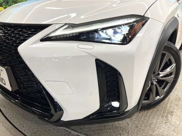LEXUS UX300h