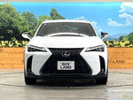 LEXUS UX300h