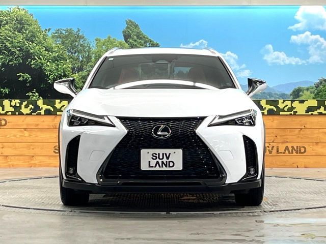 LEXUS UX300h