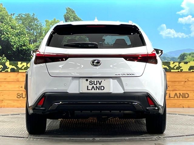 LEXUS UX300h