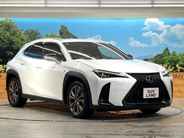 LEXUS UX300h