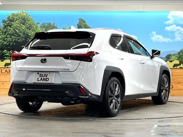 LEXUS UX300h