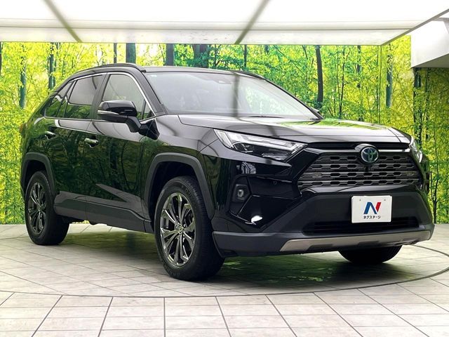RAV4 HYBRID 4WD