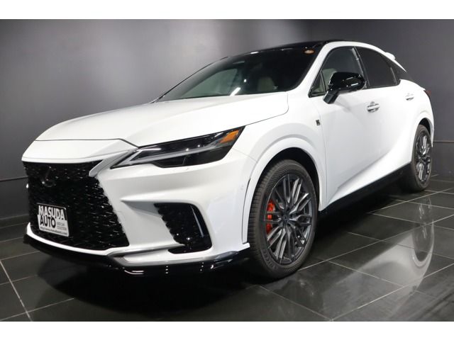 LEXUS RX500h