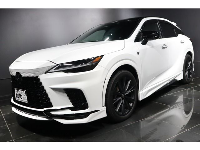 LEXUS RX500h