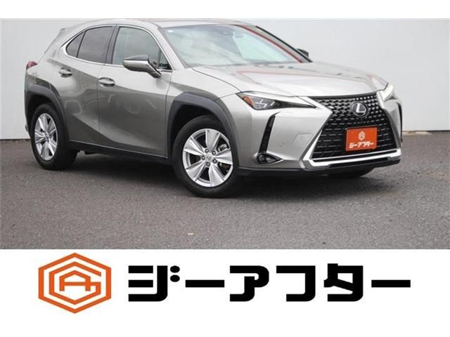 LEXUS UX250h