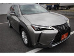 LEXUS UX250h