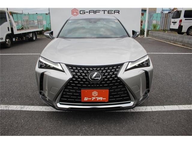 LEXUS UX250h