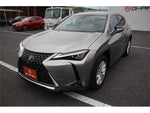 LEXUS UX250h