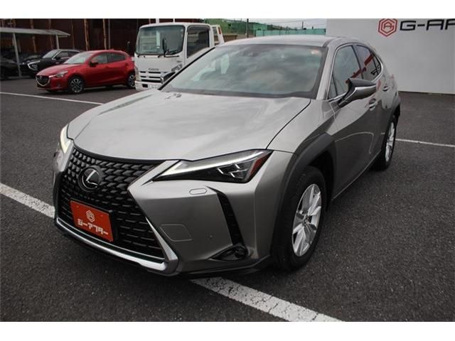 LEXUS UX250h