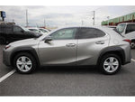 LEXUS UX250h