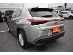 LEXUS UX250h