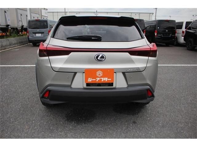 LEXUS UX250h