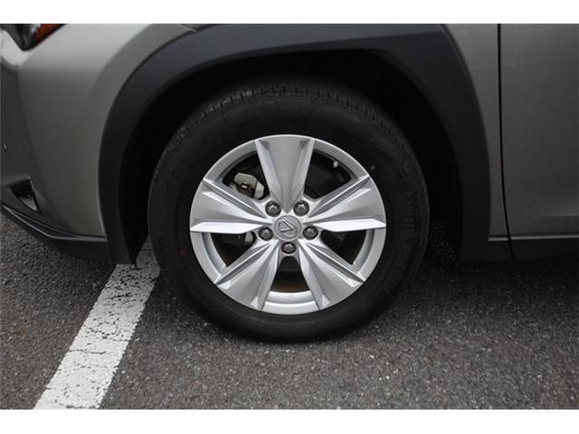 LEXUS UX250h