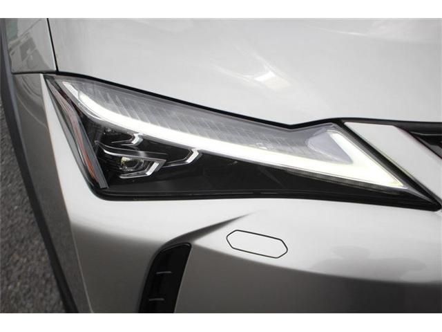 LEXUS UX250h