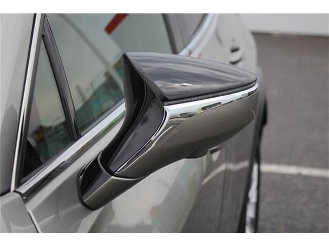 LEXUS UX250h