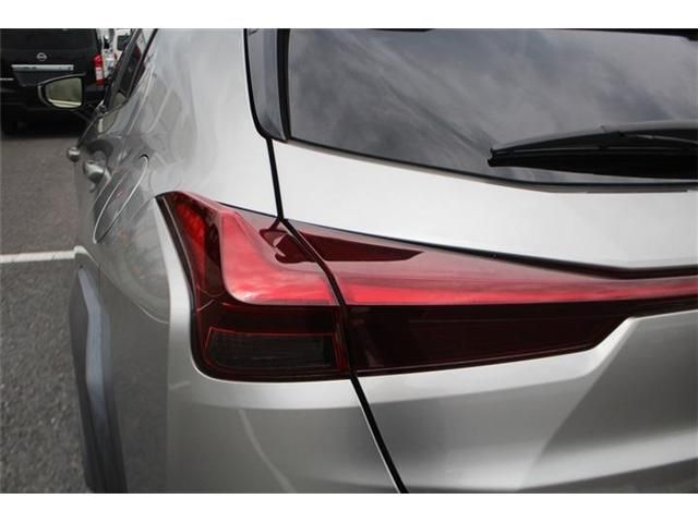 LEXUS UX250h