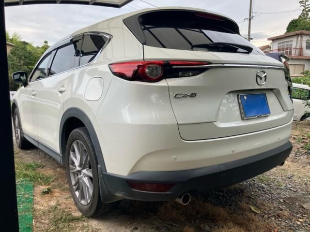 CX-8