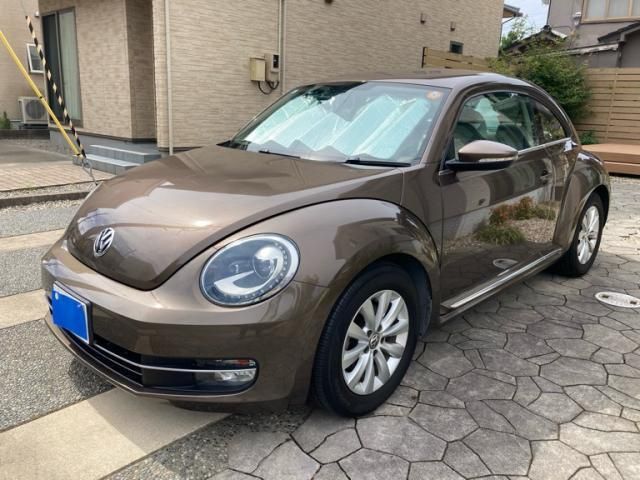 VOLKSWAGEN The BEETLE