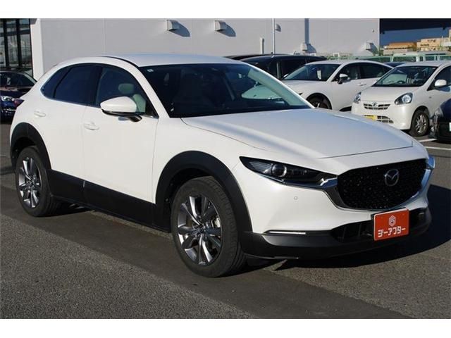 CX-30