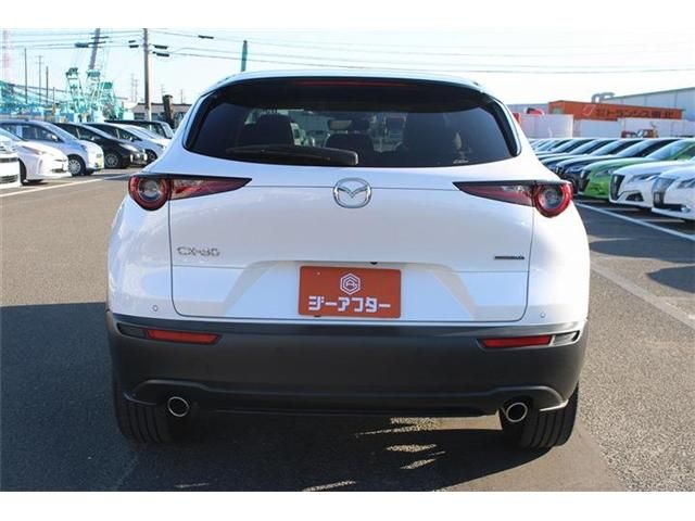 CX-30