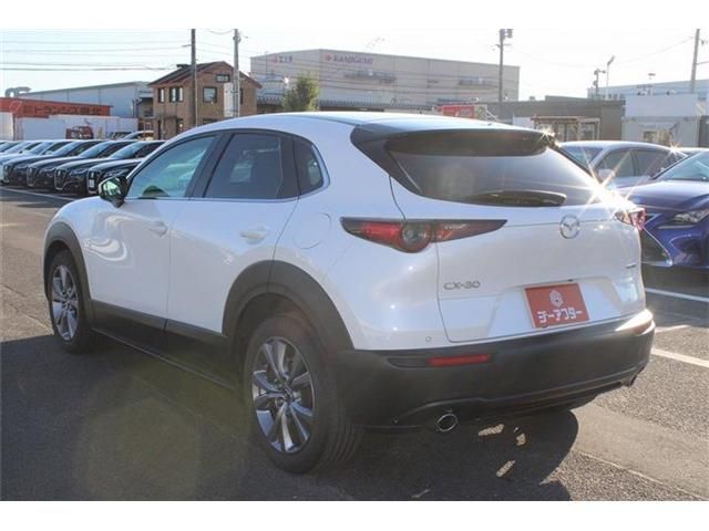 CX-30