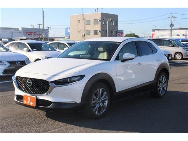 CX-30