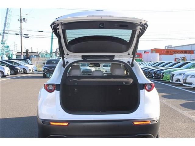 CX-30