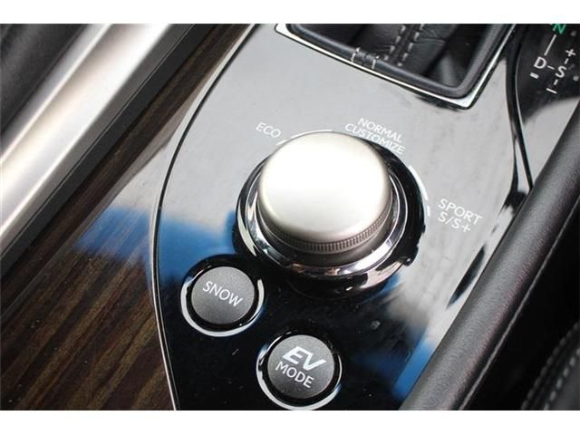 LEXUS GS300h