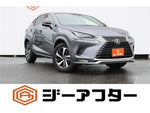 LEXUS NX300