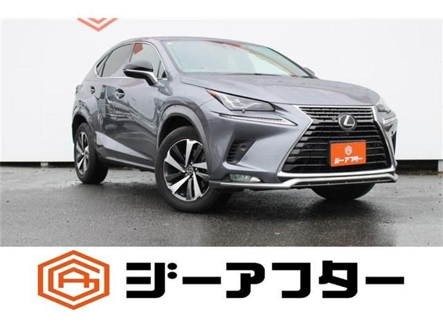 LEXUS NX300